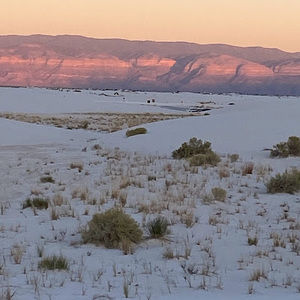 Meet your Posher, Candace